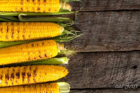 گندم در انتظار گزارش USDA: تحولات داغ بازار