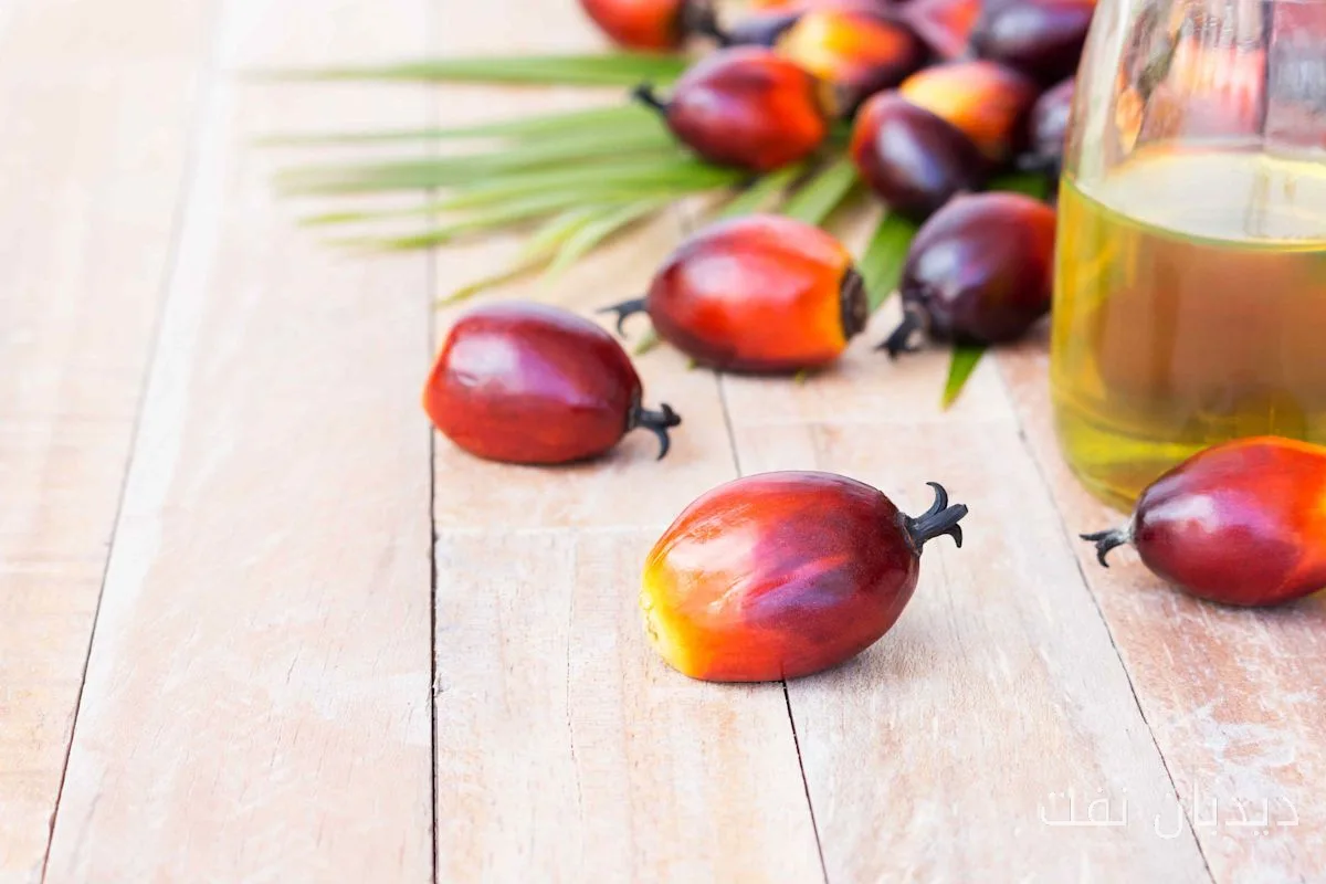 Palm Oil: Should We Avoid It?