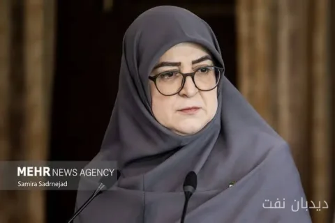 مهاجرانی: تمام توان دولت برای مدیریت انرژی به کار رفته است