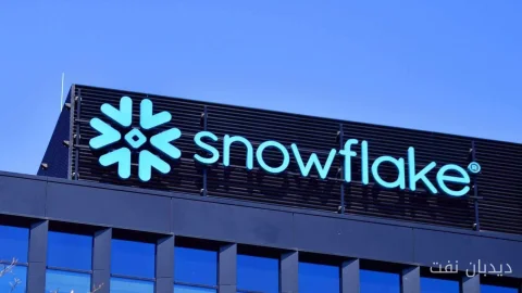 Michael Burry: آیا سهام Snowflake واقعاً حباب است؟