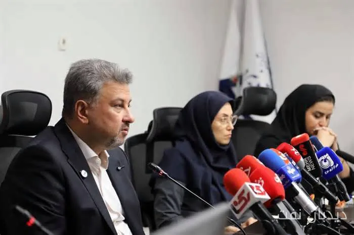 معاون برق و انرژی وزارت نیرو: پتروشیمی‌ها می‌توانند برق از ترکیه وارد کنند