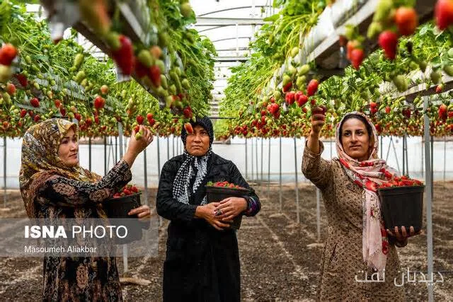 تحریم محموله نفتی ایران در مسیر آسیا