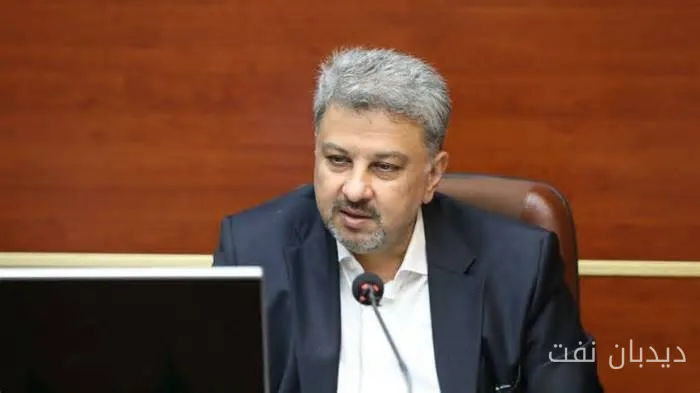 معاون برق و انرژی وزارت نیرو: بخش خصوصی می‌تواند برق را از همسایگان وارد کند