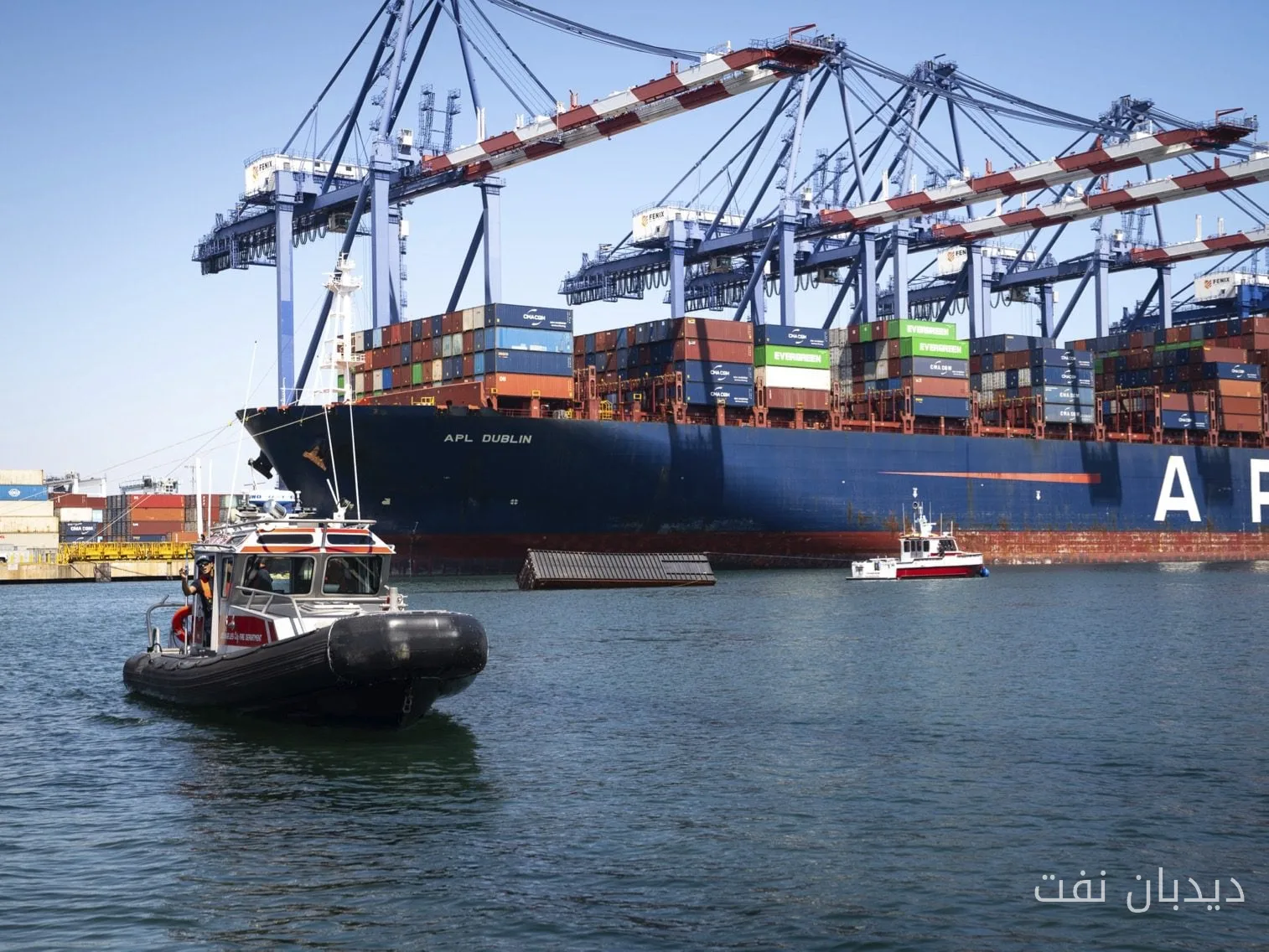 Loading operations halted at the Port of Los Angeles after three containers fell