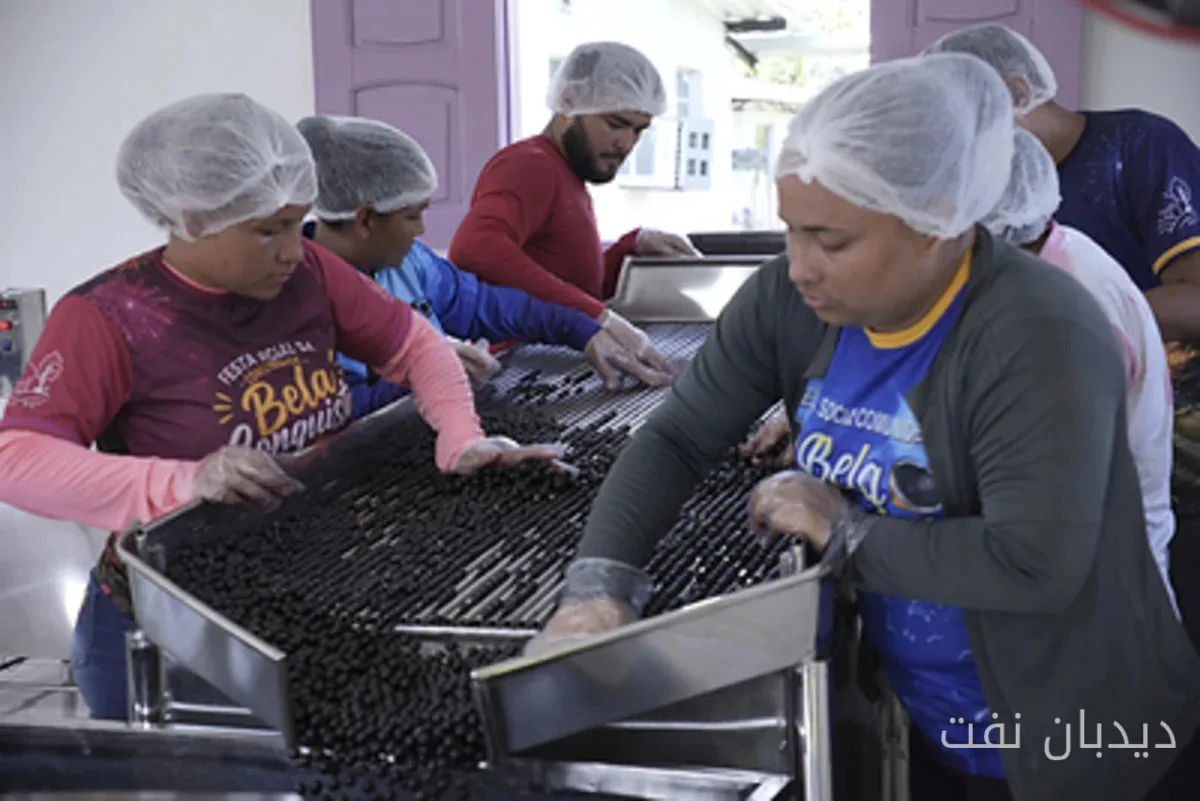 Beginn einer neuen Ära im Amazonas: Açaí wird zu Solarenergie