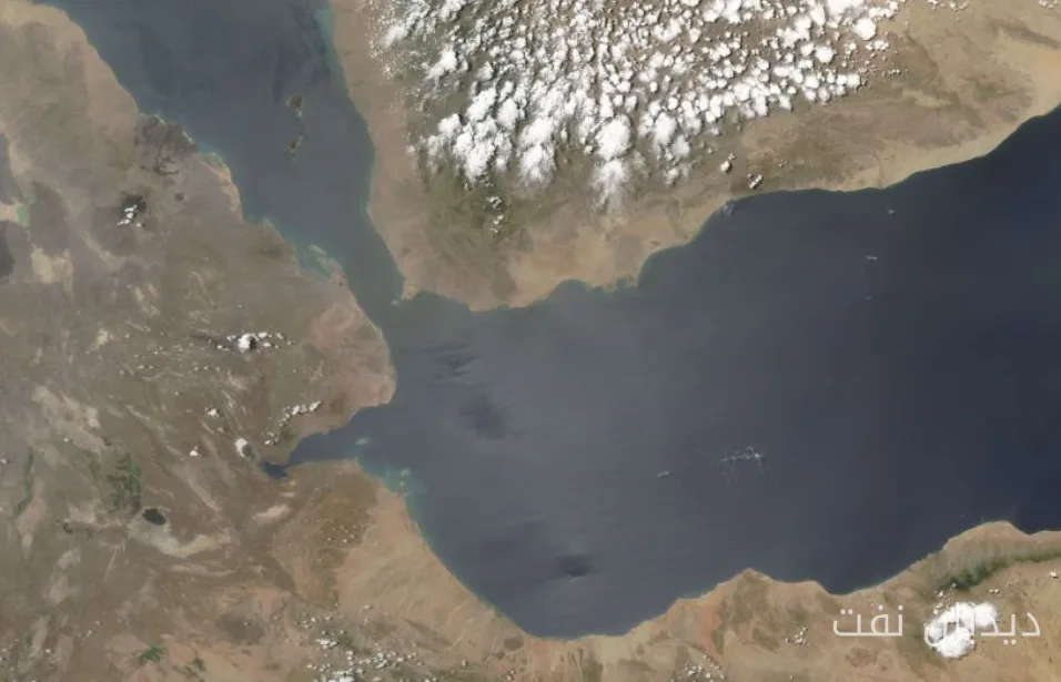 New Developments in Yemen: Houthi Withdrawal from Bab al-Mandab Strait