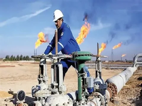 طاهر رحیمی: ۳۲ میلیارد دلار گاز در مشعل‌های فلر سوزانده شد