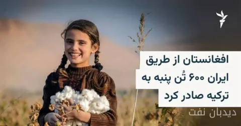 طالبان صادرات ۶۰۰ تن پنبه افغانستان به ترکیه را از طریق ایران تأیید کرد