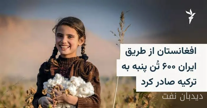 طالبان صادرات ۶۰۰ تن پنبه افغانستان به ترکیه را از طریق ایران تأیید کرد