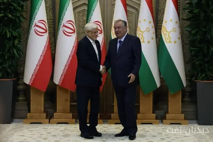 تأکید محمدرضا عارف بر ایجاد اتحادیه کشورهای فارسیزبان با تاجیکستان