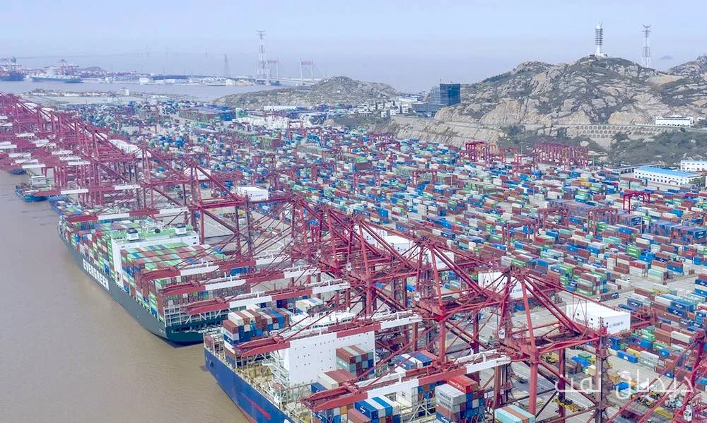Introduction of Seven New Container Bill of Lading Standards by the Shanghai Shipping Exchange