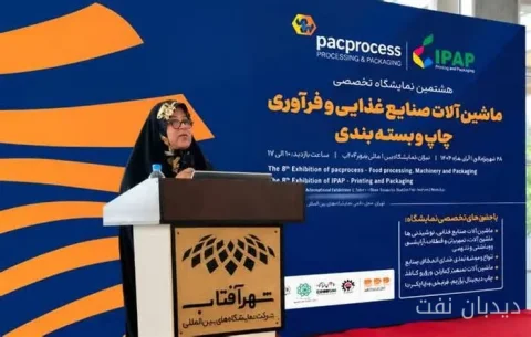 شهلا عموری: بندر فاو فرصتی برای توسعه اقتصادی ایران و عراق است