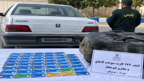 کشف ۱۷۶ کارت سوخت قاچاق در سیریک هرمزگان