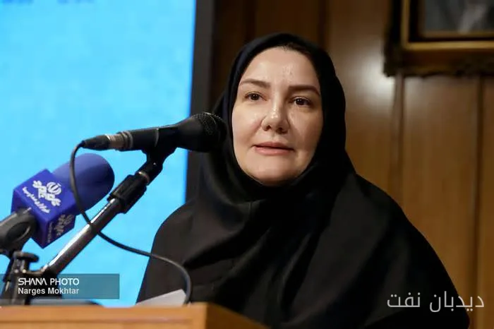 صدیقه خزایی بر لزوم مدیریت مصرف انرژی تأکید کرد